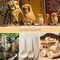 Wood Carving Tools 13pcs Wood Carving Kits - Includes Hook Carving Knife Detail Wood Knife Whittling Knife Oblique Knife Trimming Knife Chip Carving Knife for Beginners Spoon Bowl Woodworking
